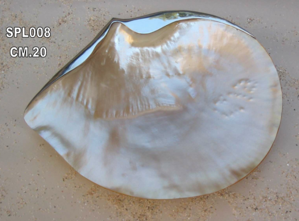 PIATTO DI MADREPERLA CON ARGENTO E PIEDINI